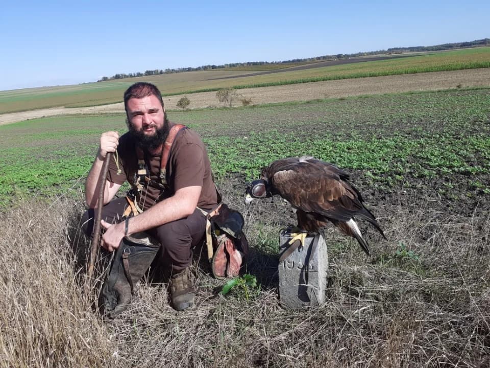 Personne assise au bord d’un champ auprès d’un rapace chaperonné sur un support