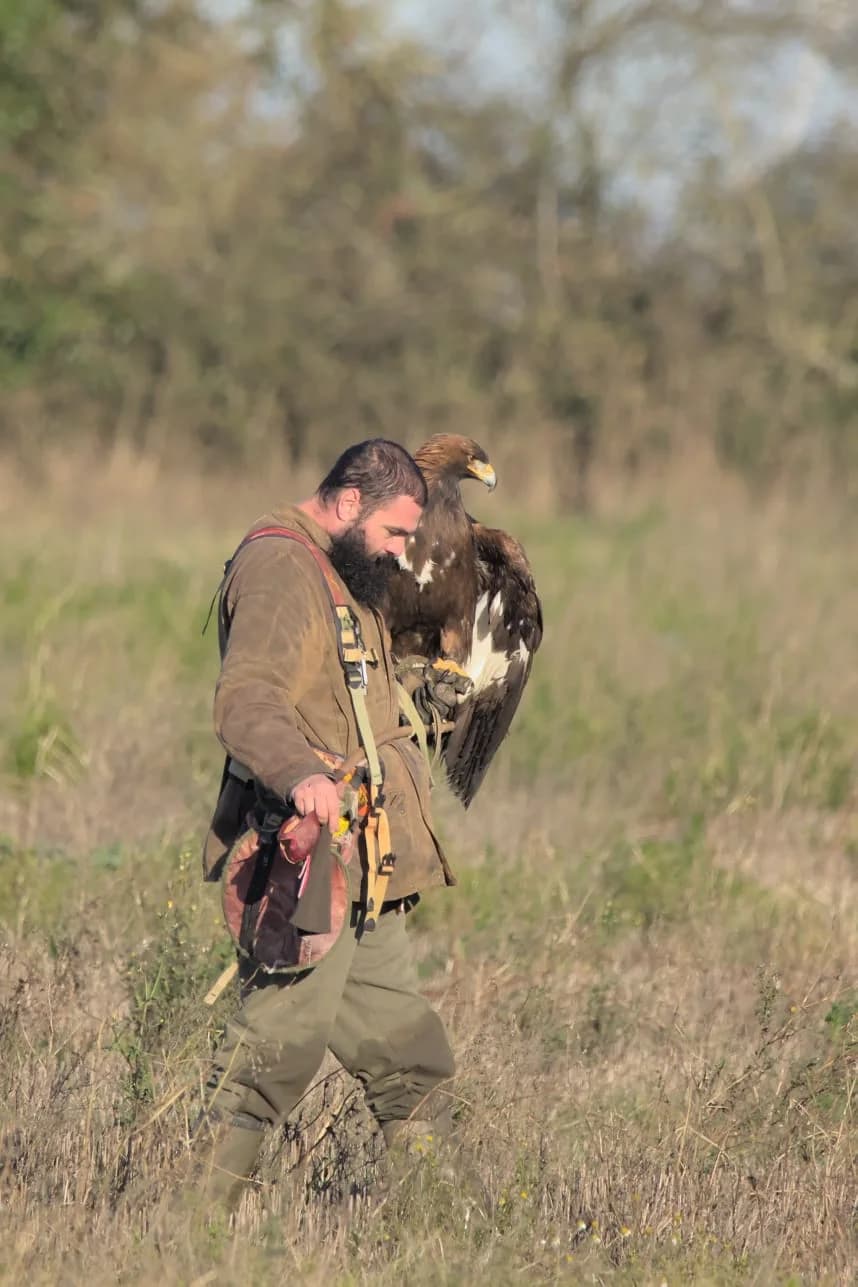 Personne marchant dans une prairie avec un grand rapace sur le gant