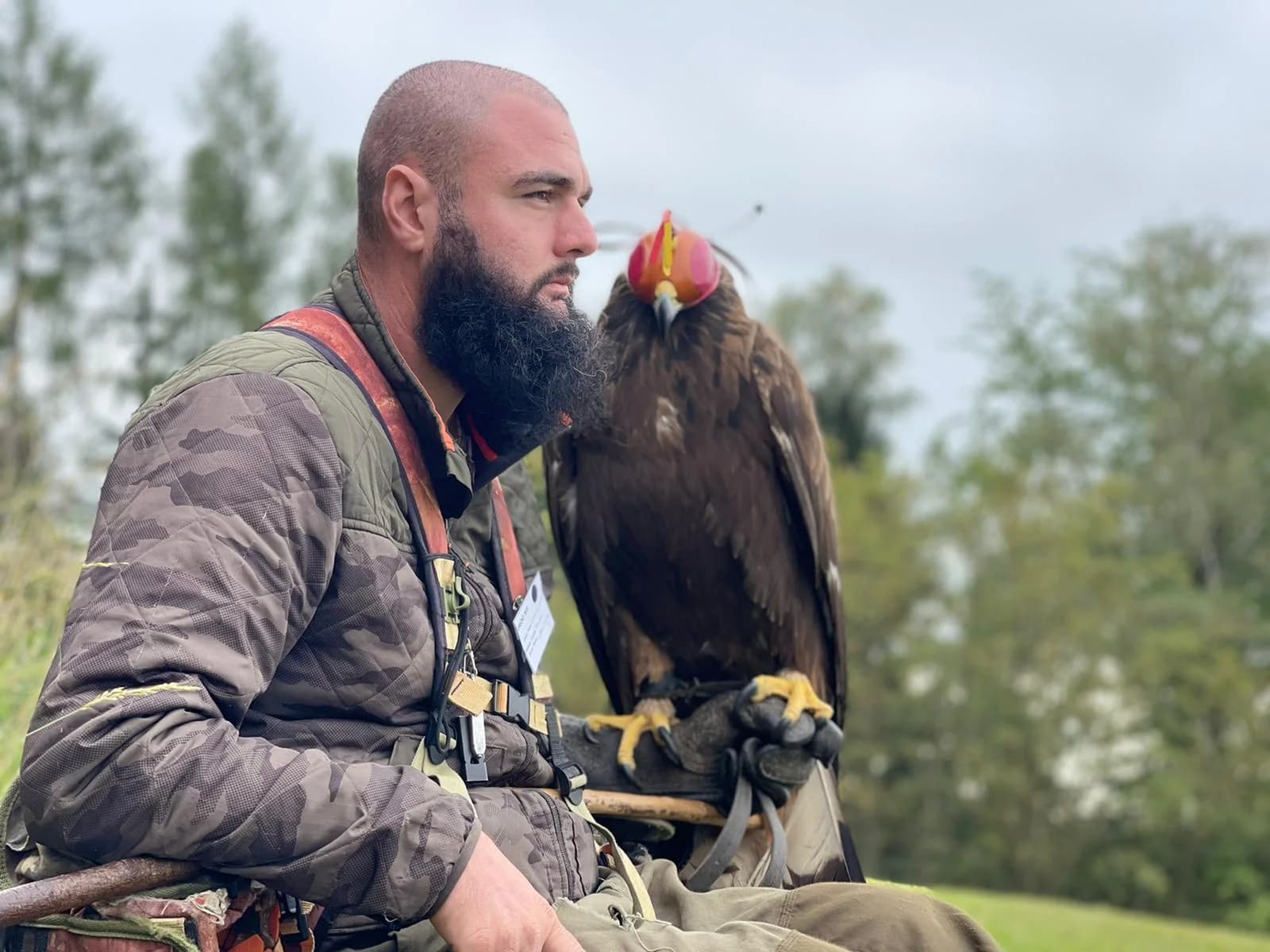 Personne assise en extérieur avec un rapace chaperonné posé sur son gant
